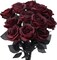 12 Pack Valentine's Day Wine Red Artificial Roses Bouquet Vintage